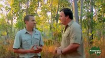 Daily Video Diaries - Jeremy's up at the Steve Irwin Wildlife Reserve tagging crocs!