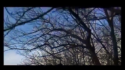 L'Avvocato del Diavolo--Avidità....