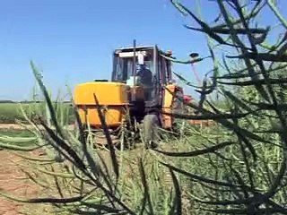 Démo semoir de precision sur colza