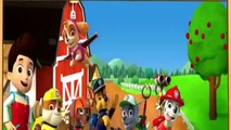 Paw Patrol Full Episodes English 2015 HD 1080p -- Patrol Pups Cartoon Disney