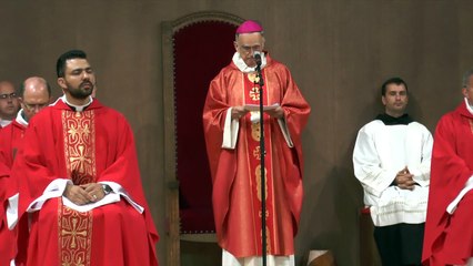 Pelerinage National - Lourdes 2015 - Homélie Monseigneur Pontier #2