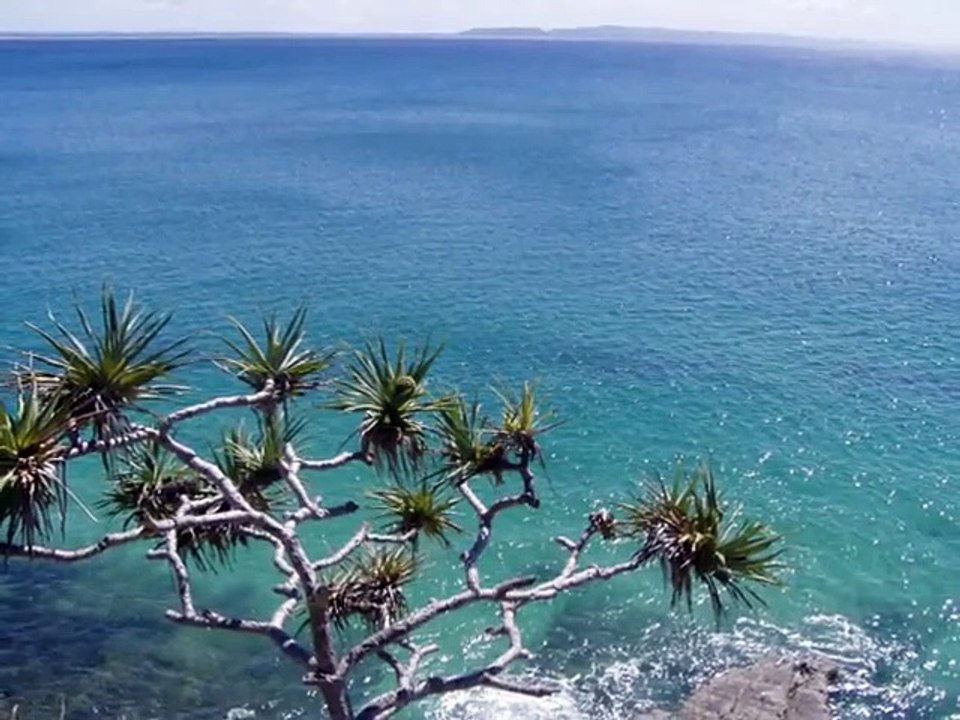 Ennio Morricone 'Mille Echi' (La Piovra)