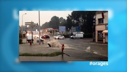 La minute web du 14 août 2015