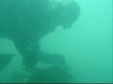 Michigan wreck scuba diving st. clair ri
