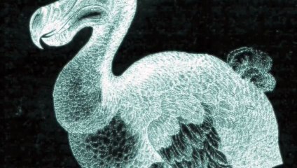 Aimee Mann - Red Vines