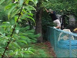 Sherlock Holmes and the Five Orange Pips