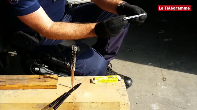 Région parisienne. Plus de 5.000 objets dangereux saisis par la douane