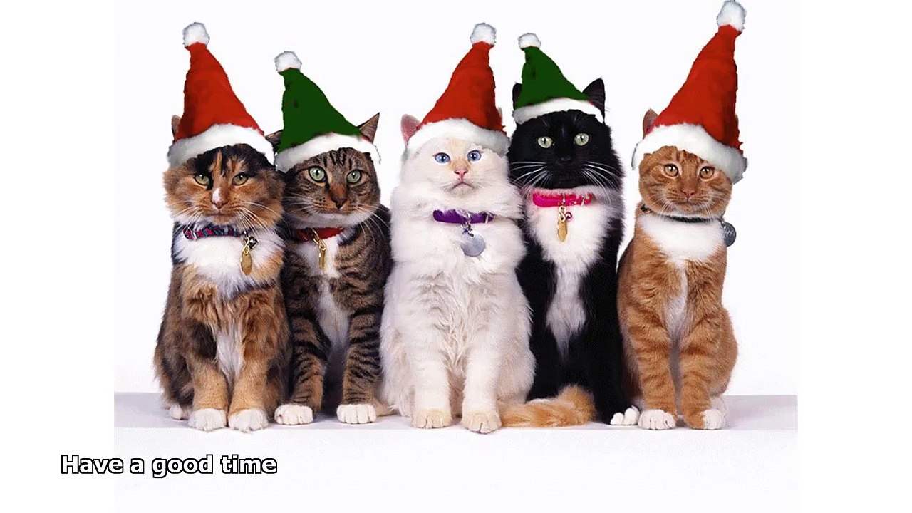 funny animated christmas pictures - video Dailymotion