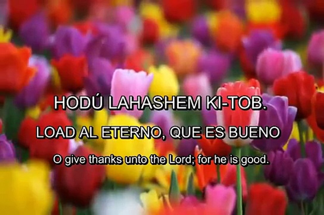 SALMO TEHILIM. HEBREO ESPAÑOL. HODU LASHEM. Devora Gila.