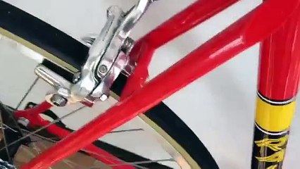 Raleigh TI Team Replica 2013 part 2