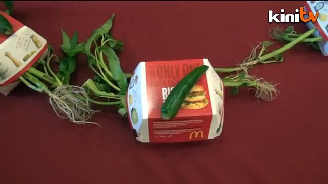 Malay NGO objects to McD 'kangkung' ads