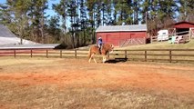 Tess rides a Belgian Draft Horse at Cherokee Hill Farm
