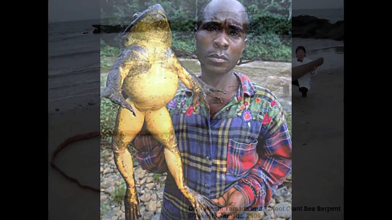 World's Biggest Animal - World Largest Sharks - World Largest ANACONDA