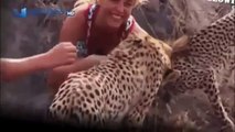 Cheetah attacked reporter. Cheetah attack the people! / Animal Attacks on Human - Nat Geo