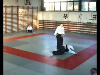 Aikido Nidan Examination