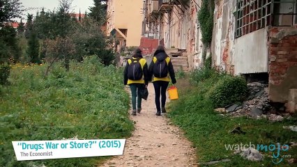 Top 5 Mind-Blowing Facts About Marijuana