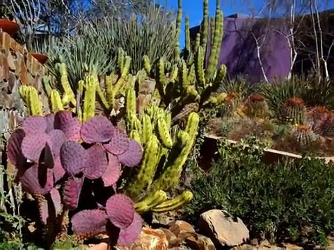 The most amazing places to visit Arizona United States
