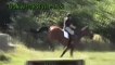 Showjumping Horses for Sale |showjumping |eventing |dressage