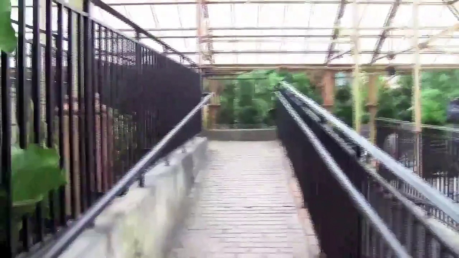 ⁣Harry Potter Park: Harry Potter Ride