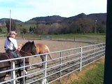 One Rein Stop- Horses Feeding off each other- Fresh Horse- Rick Gore Horsemanship