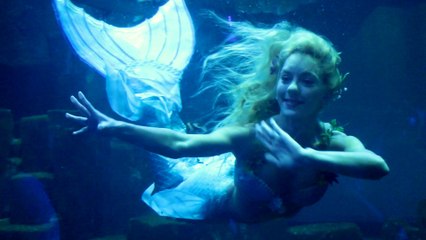 Sirène professionnelle n'est pas un métier facile