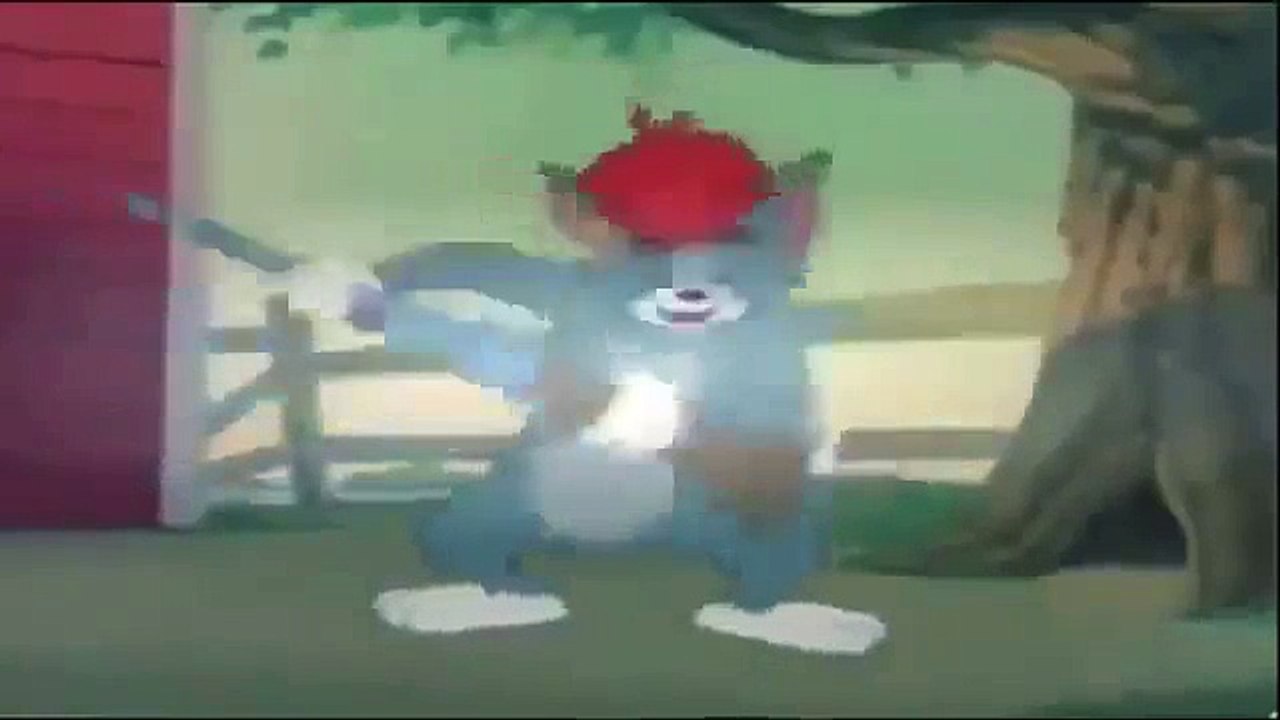 Tom and Jerry Cartoon 2015 p22