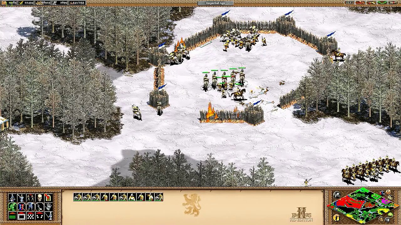 Age of Empires 2 HD Low fps/Micro Stutter Can anyone fix this?