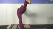 Yoga Shoulder Openers : Yoga Lifted-Leg Dolphin Pose