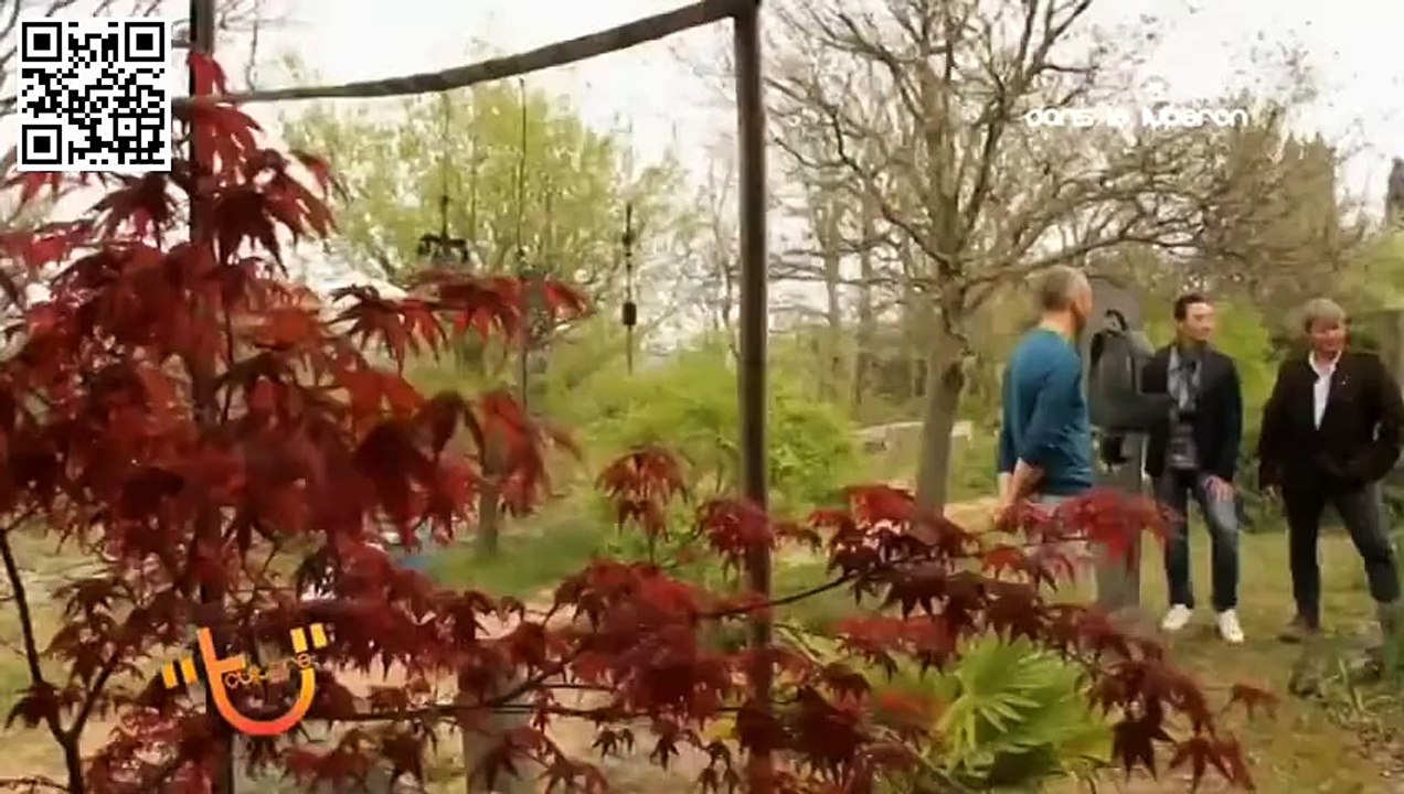 Dans le Luberon - Culture t - vidéo Olivia tregaut