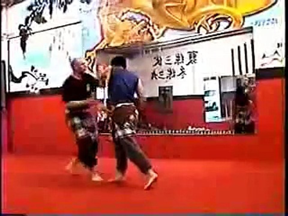 Pencak Silat Techniques