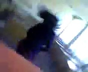 cea mai idioata fata de pe pamant