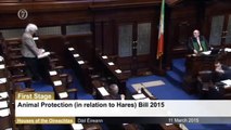 Maureen O'Sullivan TD moves bill to ban cruel hare coursing
