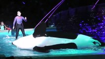 Shamu Rocks SeaWorld Orlando - Part 2