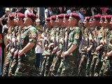 Georgian New Army