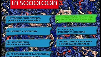 Cap 6   Cultura, persona y sociedad