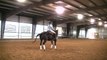 McQuay Stables - Reining & Training 101 Trip