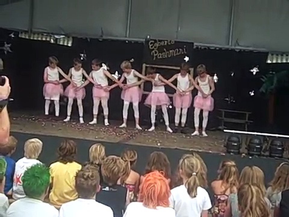 Bonte Avond 2009 groep 8 jongens you can leave your hat on / zwanenmeer