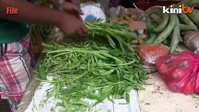 PERKASA dakwa 13 Mei boleh berulang kerana isu kangkung