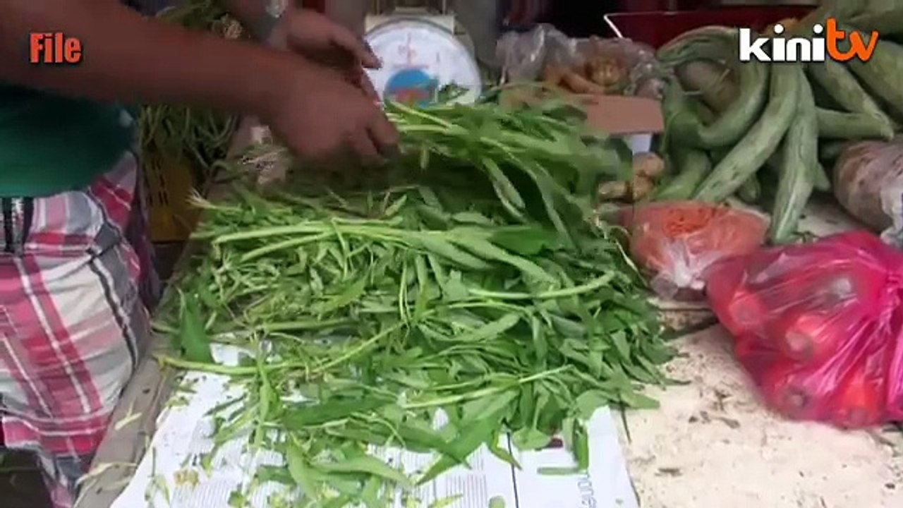 PERKASA dakwa 13 Mei boleh berulang kerana isu kangkung