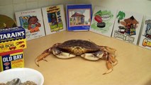 How to cook Dungeness Crab.