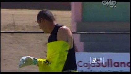 Alianza Atlético vs. Sport Huancayo: abejas atacan a arquero en pleno partido (VIDEO)