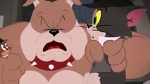 Tom And Jerry Full Episodes   Tom And Jerry   animated cartoon New Addtion 8
