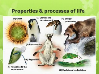 Exploring Life - Characteristics of Living Things