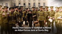 RTÉ News Now:  Century Ireland Gallery 13th – 26th August 1915