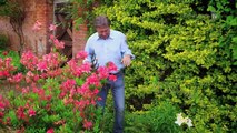 Alan Titchmarsh's Summer Garden | How to Divide Perennials | Waitrose