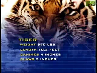 Animal Face Off Videos Dailymotion