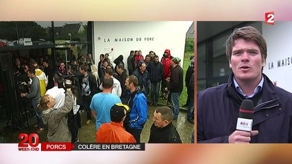 Crise de la filière porcine : les syndicats d'éleveurs calment le jeu