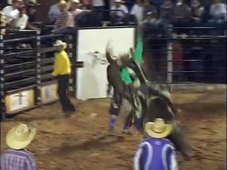 Peão do município de Costa Rica é campeão do Rodeio profissional
