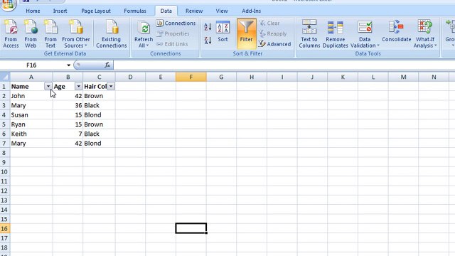 Excel Filters: Creating and Using Filters in Excel 2007