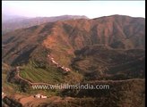 Terraced fields in the Himalaya! Pinjore to Manali chopper flight in Himachal Pradesh